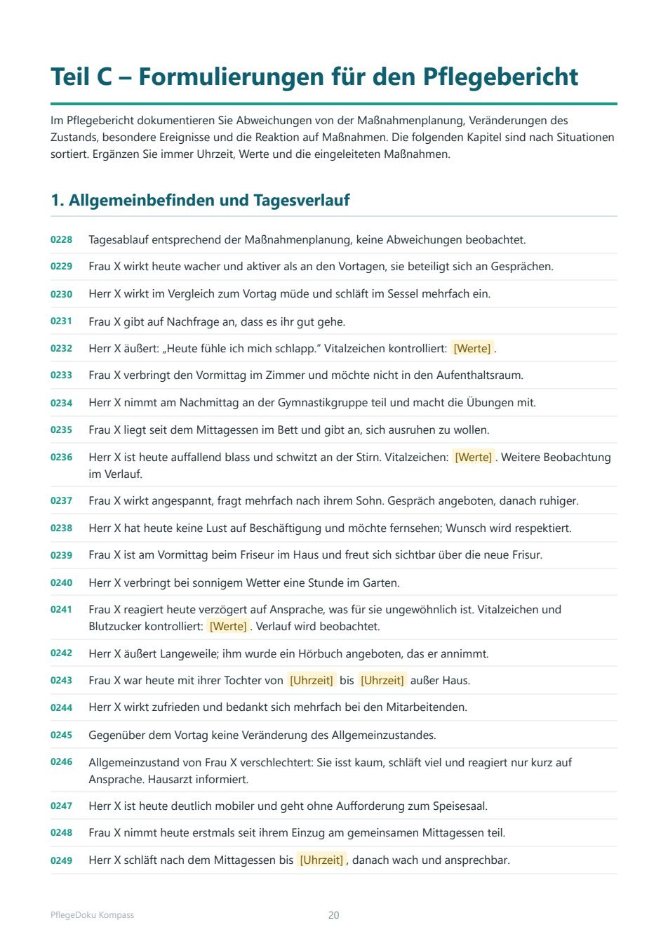 Pflegebericht nach Situationen